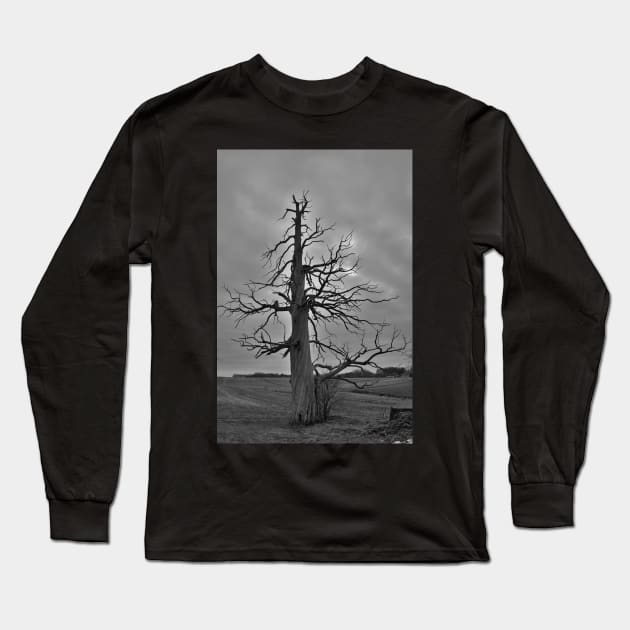 Waterloo, Belgium Long Sleeve T-Shirt by golan22may